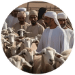 Qurbani & Haircut